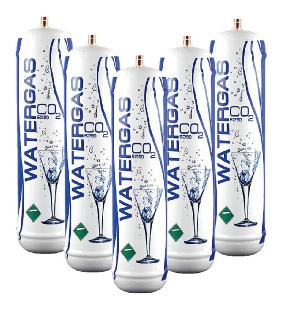 de Bouteilles CO2 600 g destine a gazeuse Lot economique 5 pieces E290 alimentaire M11 x 1 Jusqu'a 120 l par bouteille Compatible universel Fabrique en Italie